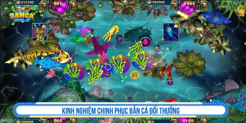 Kinh nghiệm chơi bắn cá đổi thưởng có kiểm soát