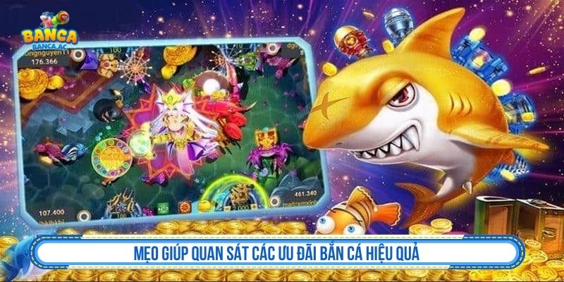 Kiểm tra khuyến mãi sau khi đăng ký bắn cá