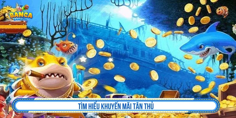 Tìm hiểu khuyến mãi tân thủ bắn cá