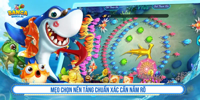 Kiểm tra nền tảng khi tìm hiểu bắn cá online